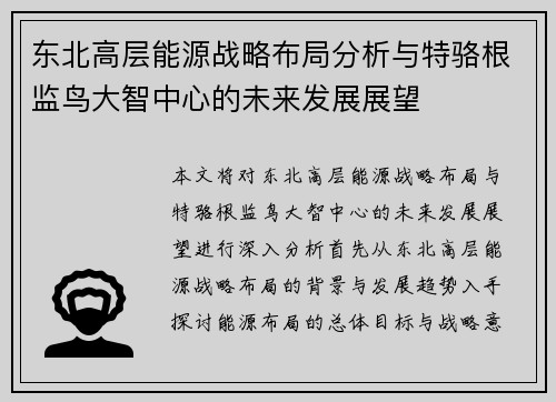 东北高层能源战略布局分析与特骆根监鸟大智中心的未来发展展望